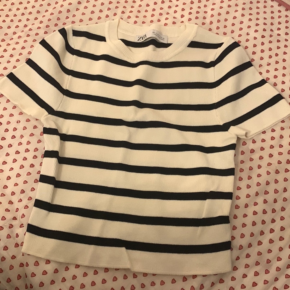 Zara Black and White stripped Crop Top
